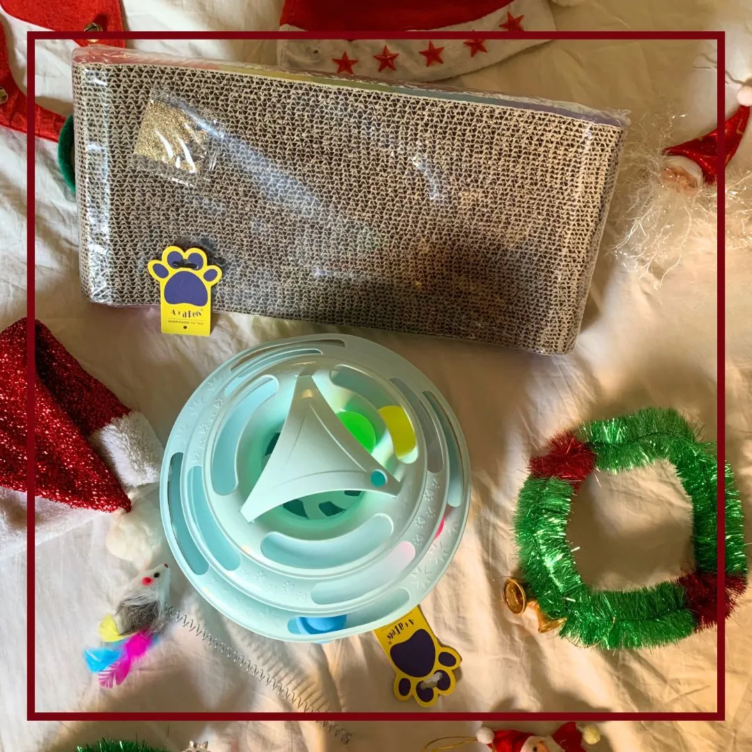 A a Pets' Goodie Box of (2) for Cats: Scratch Pad, Tower Toy with Free Mouse Stick