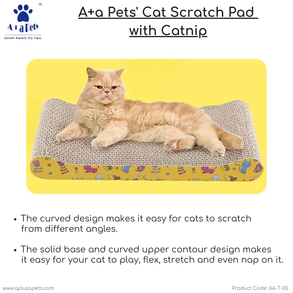 A a Pets' Goodie Box of (2) for Cats: Scratch Pad, Tower Toy with Free Mouse Stick