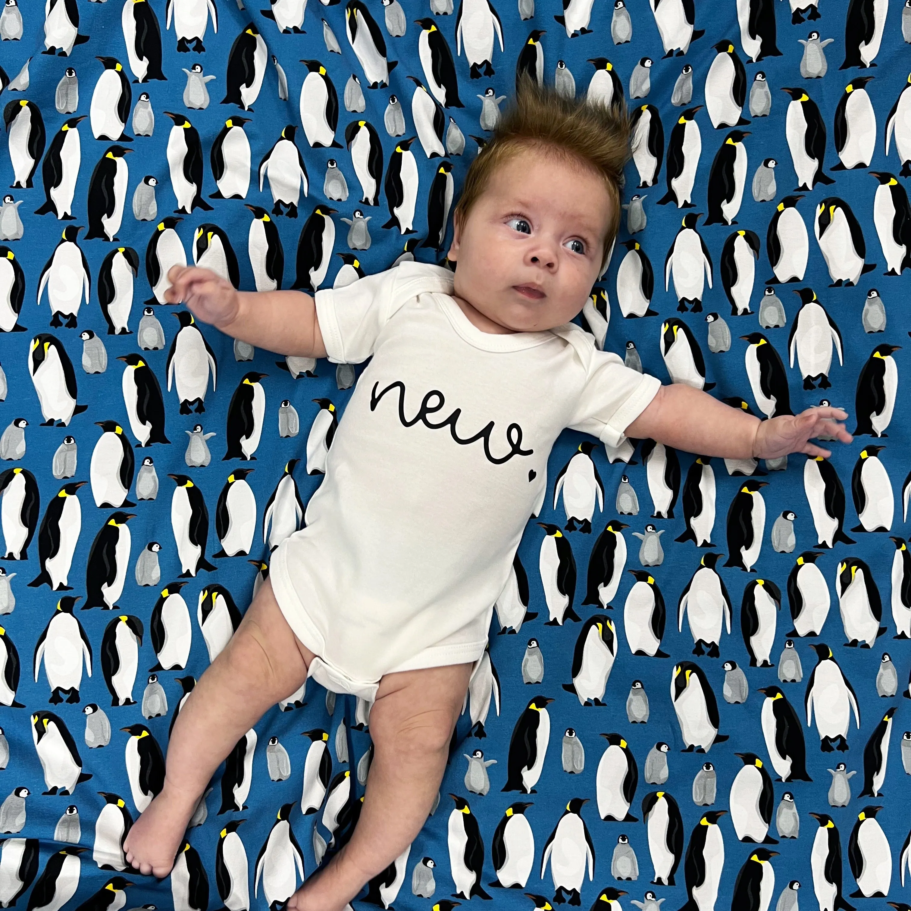 Blue Penguin XXL Blanket