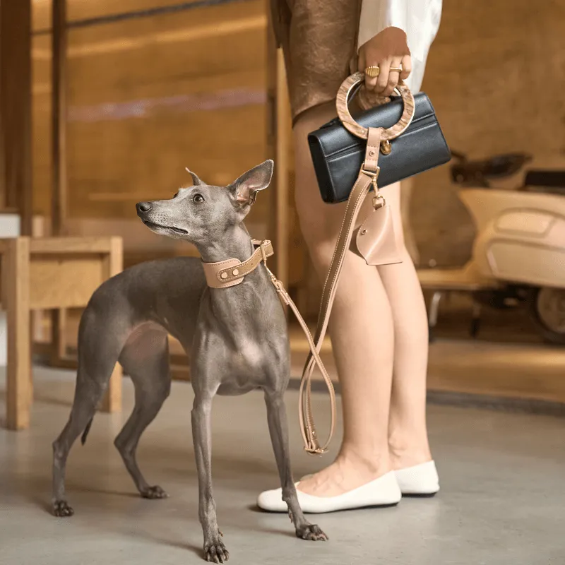 Blushwood Leather Collar