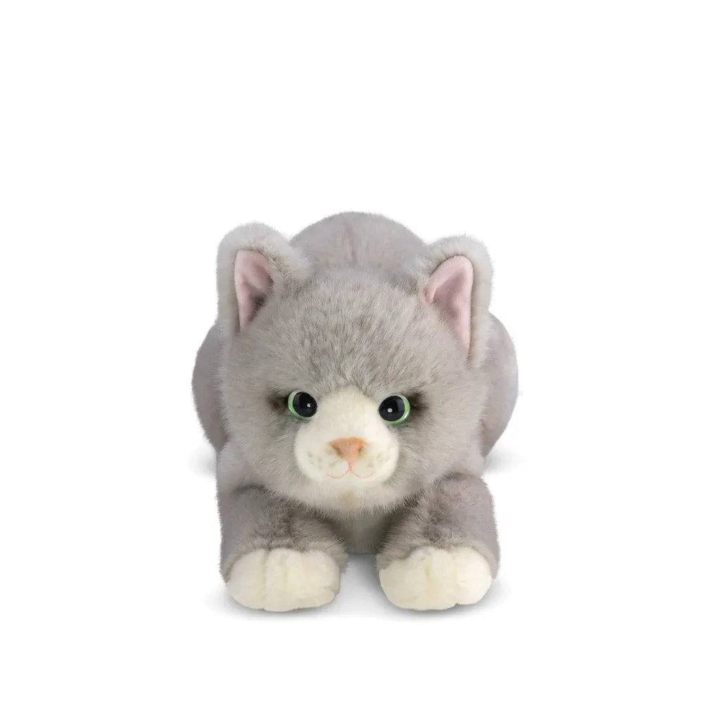 Borealis Grayson Cat Soft Toy