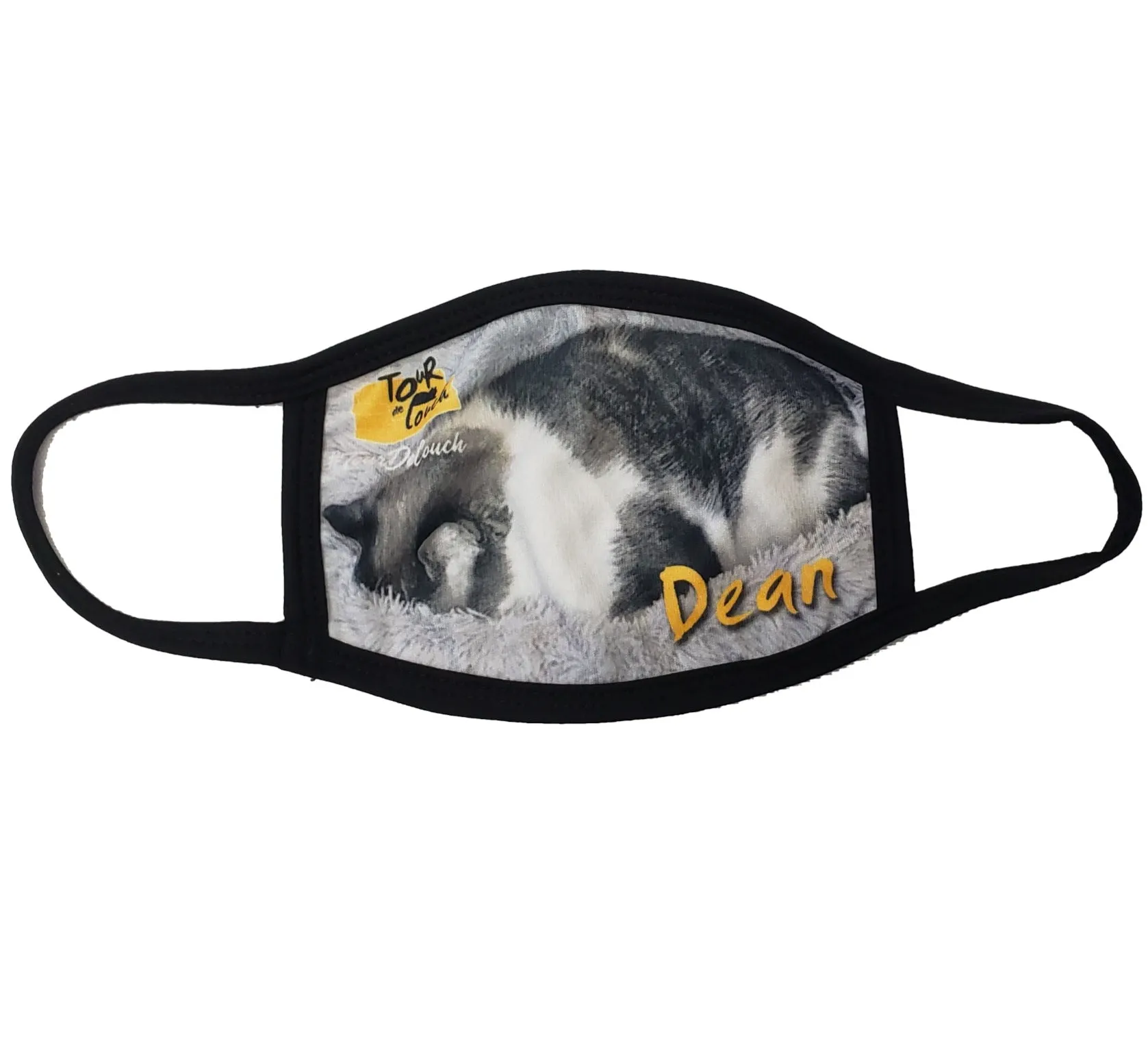 Cat Tour de Couch Cloth Face Mask