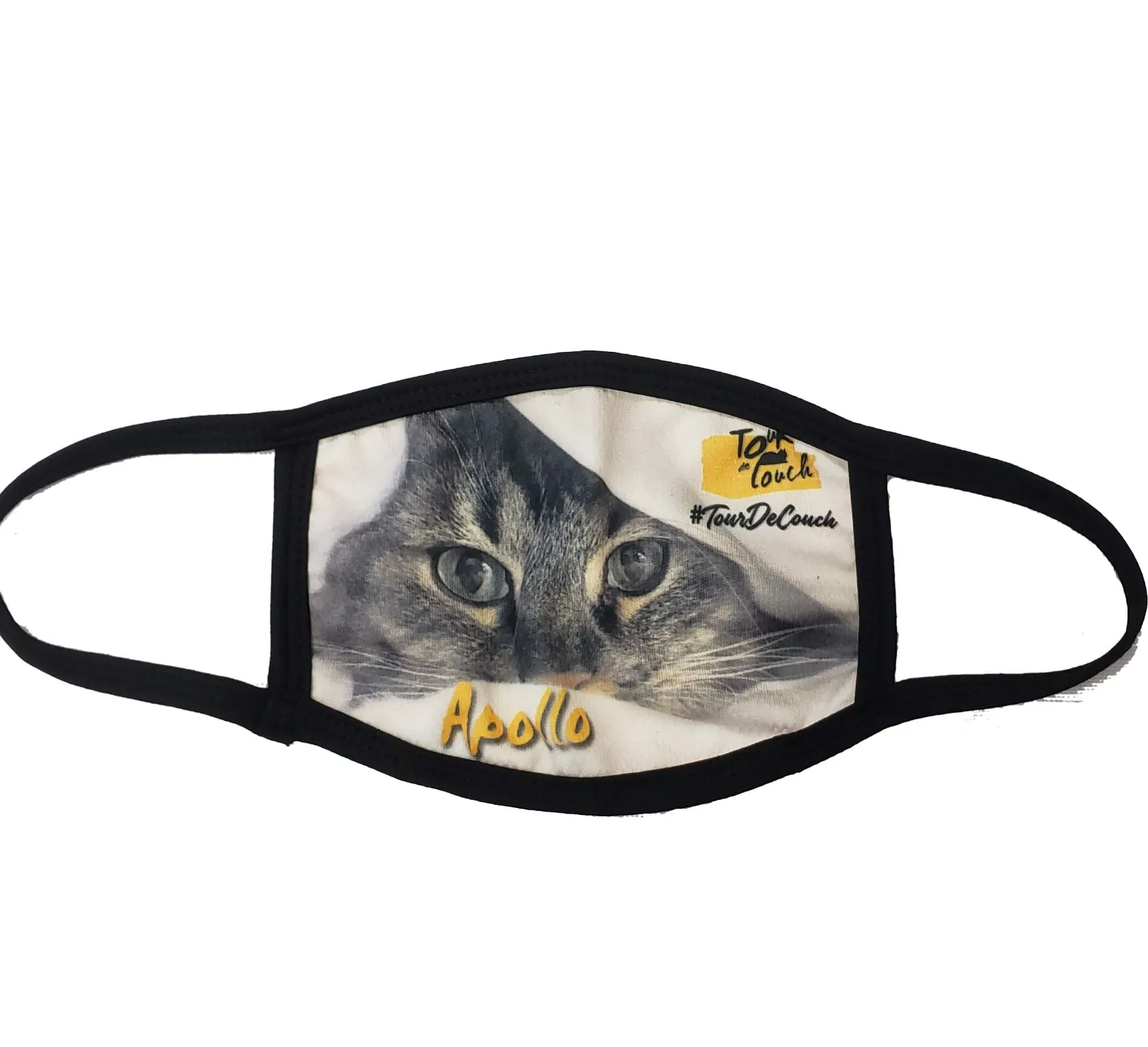 Cat Tour de Couch Cloth Face Mask