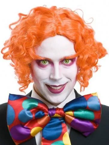 Hatter Wig and Eye Brows