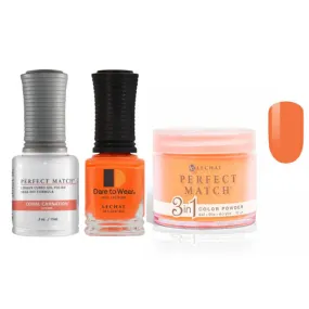 Perfect Match Trio - 097 Coral Carnation