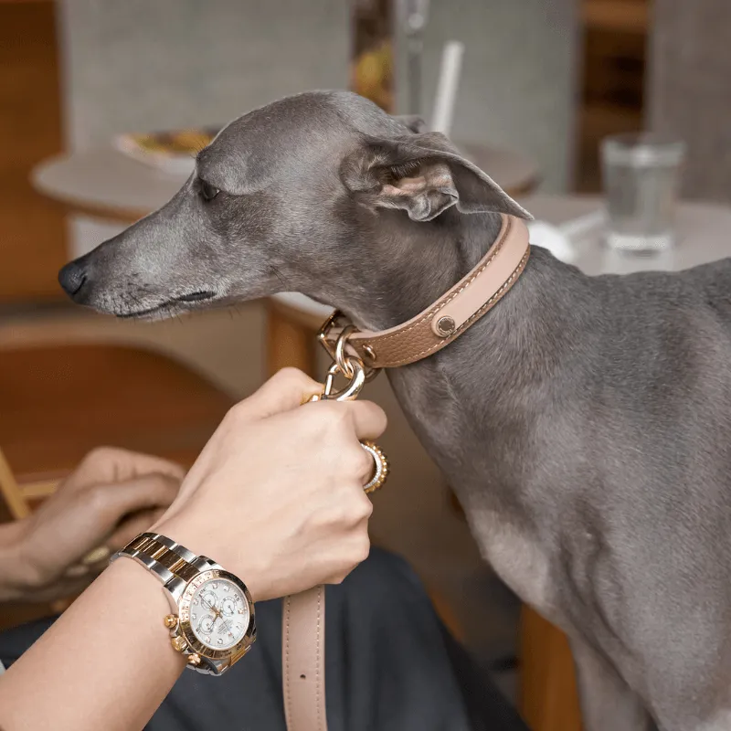 Slim Blushwood Leather Collar