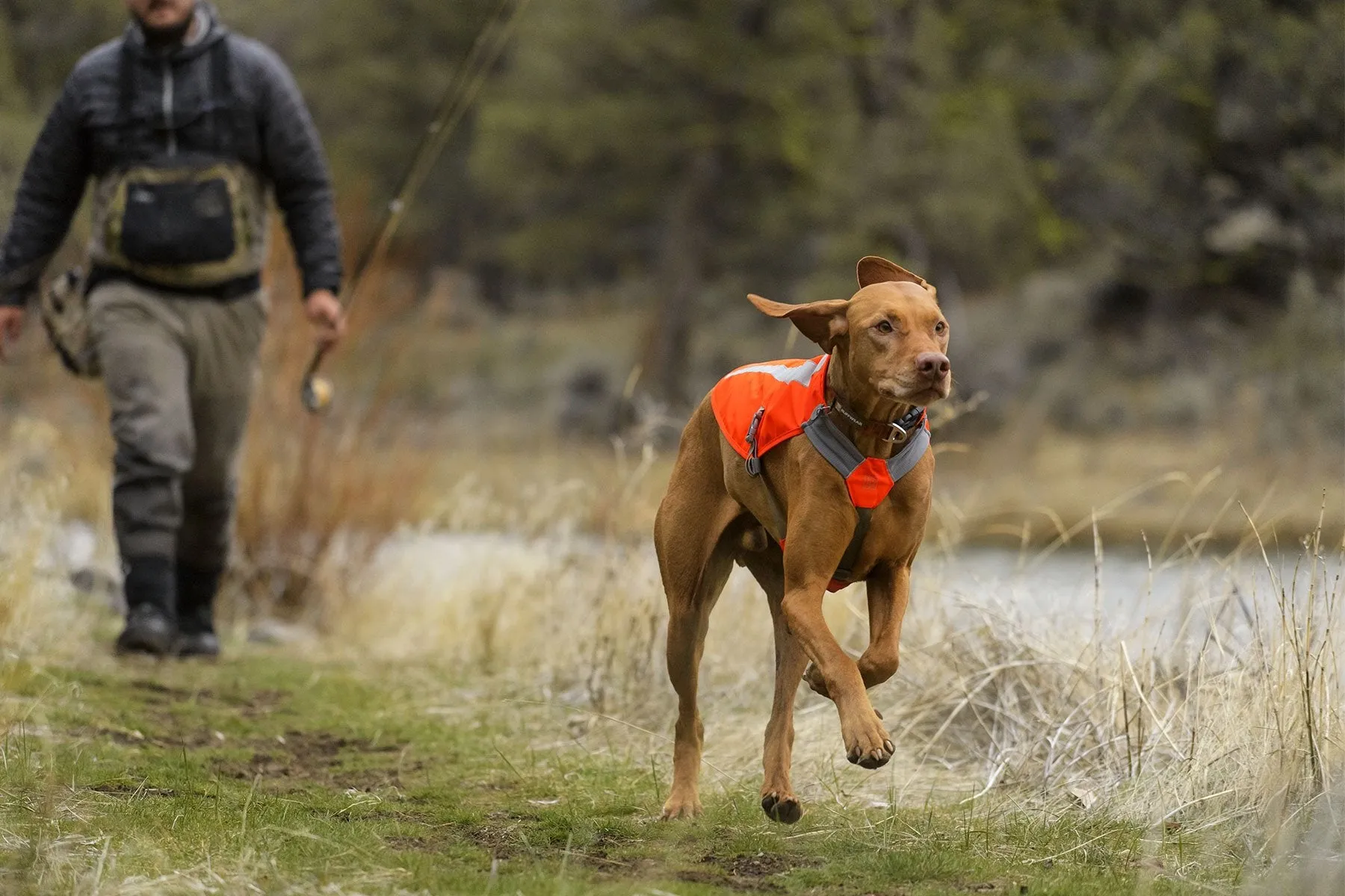 Track Jacket™ Reflective Dog Vest