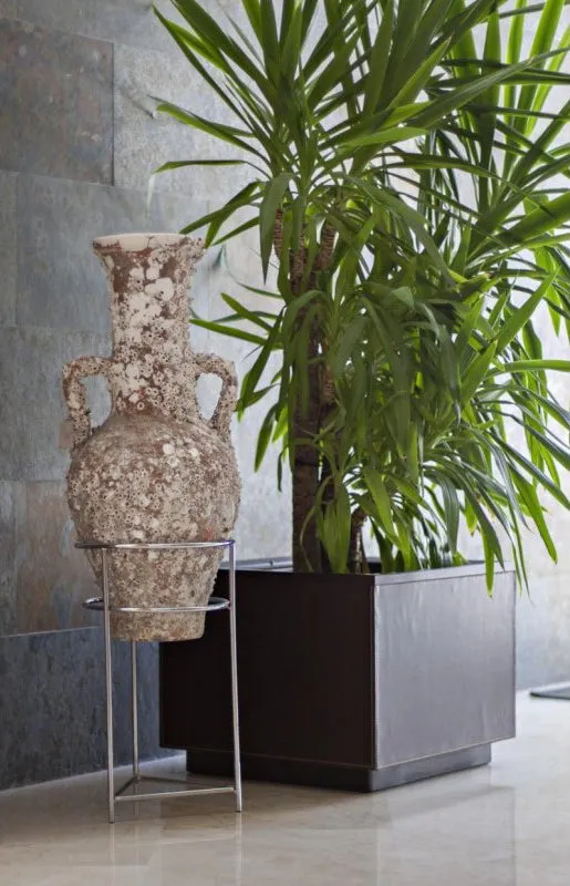 'Vesuvius' Ancient Sea Amphora